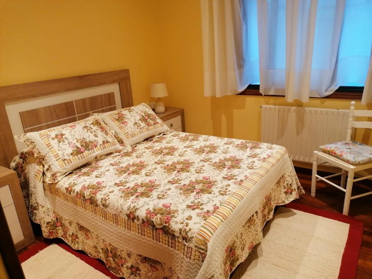 Апартаменти Piso As Camelias Понтеведра Екстер'єр фото